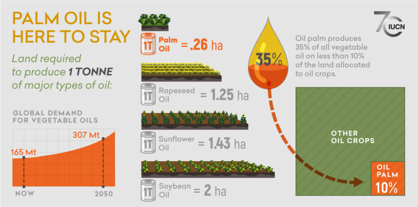 Infographic showing the environmental impact of palm oil by stating that the global demand for vegetable oils is increasin and palm oil can produce 1 tonne of oil in 0.26 hectares of land whereas other oils like soybean needs more land, about 2 hectares. The infographic also shows that palm oil crops produce 35% of all vegetable oil on less than 10% of the land allocated to oil crops.